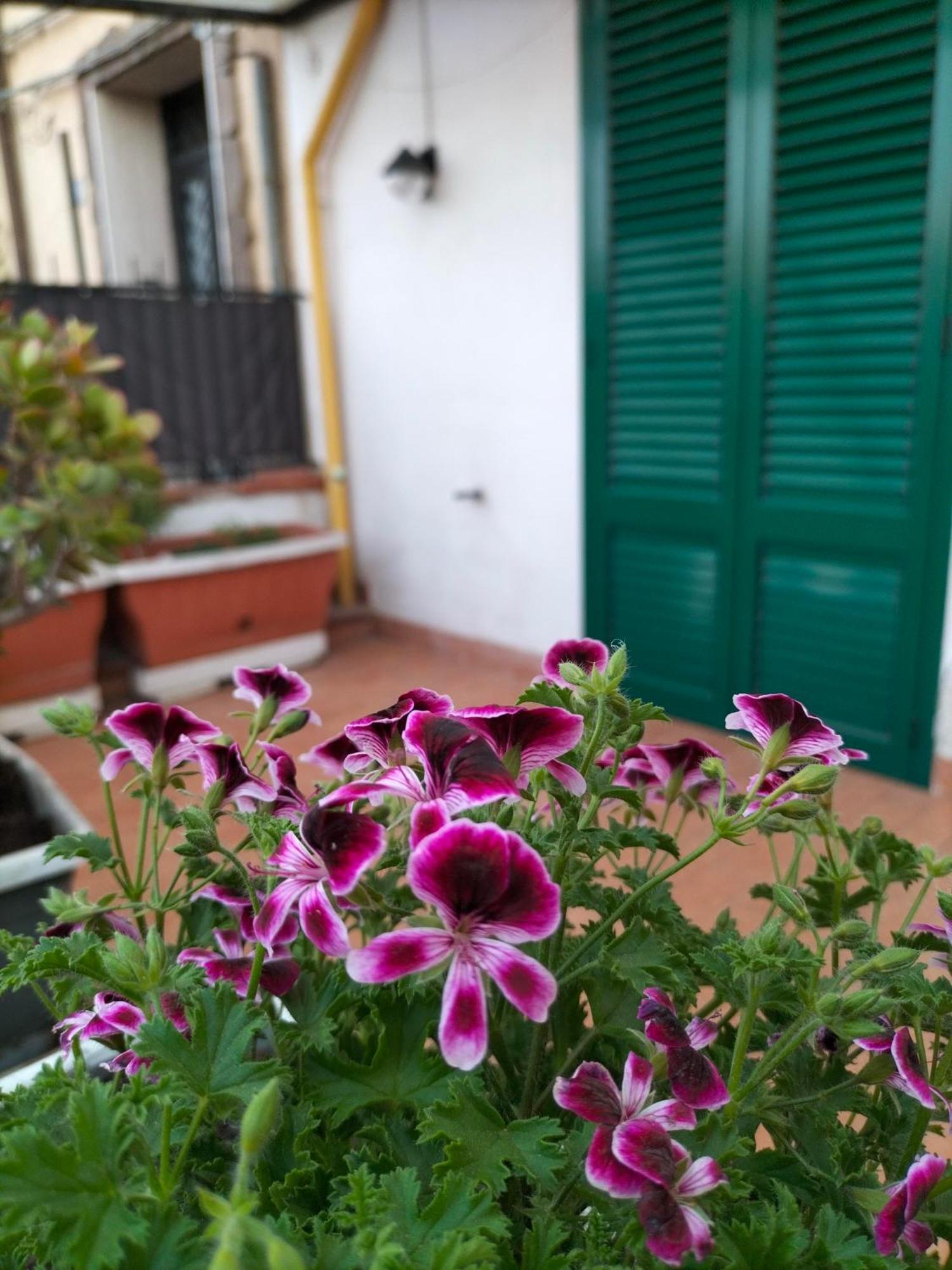 Ciuridda Mia Daire Palermo Dış mekan fotoğraf
