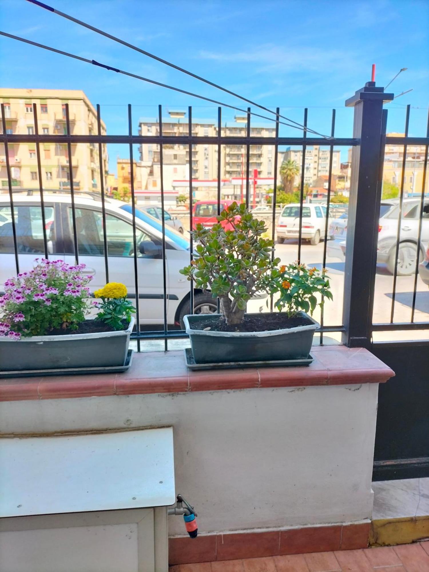 Ciuridda Mia Daire Palermo Dış mekan fotoğraf