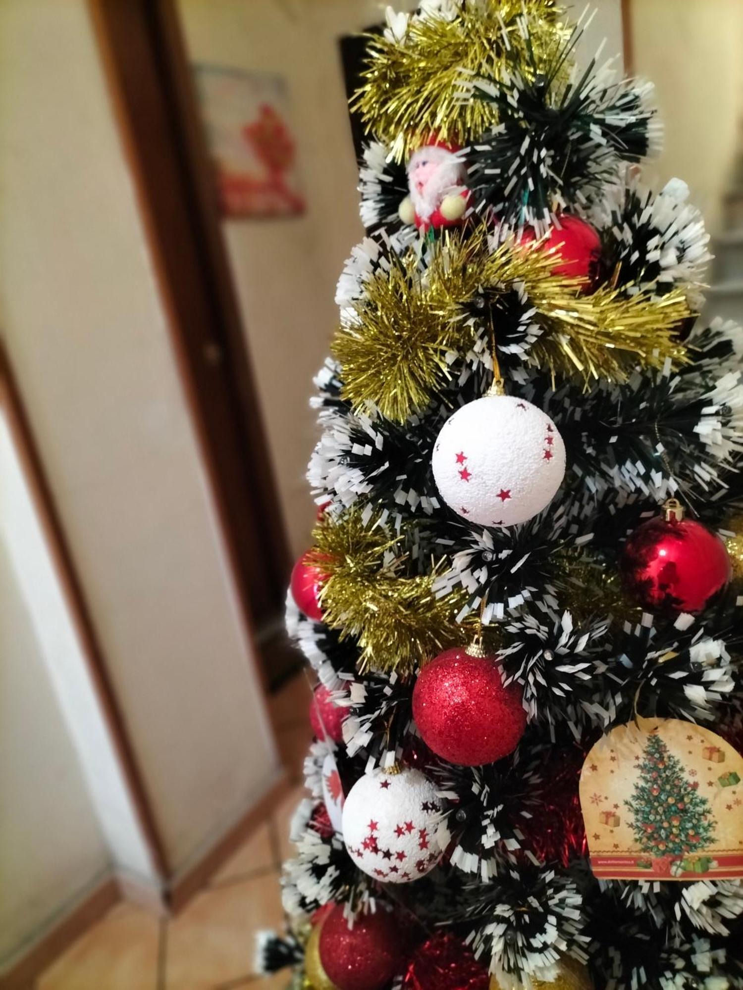 Ciuridda Mia Daire Palermo Dış mekan fotoğraf